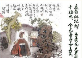 归有光是个怎么样的人？归有光坎坷的一生！