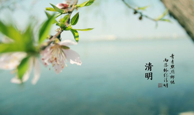 阳春三月,草长莺飞!是什么让他在清明佳节无奈与忧伤?