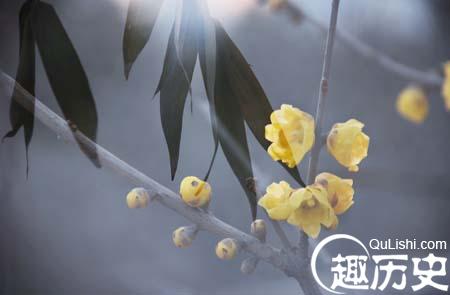 这八个日常成语 相信大部分中国人都理解错了！
