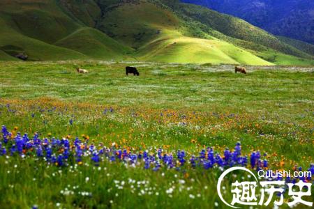 古人将春雅称为&ldquo;青春&rdquo; 意指春天草木茂盛一派青葱