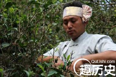 布朗族文化简介 布朗族与茶的文化历史