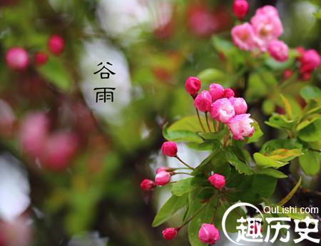 关于谷雨的习俗 谷雨的习俗有哪些