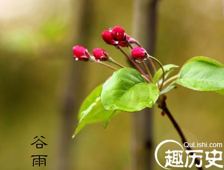 关于谷雨的习俗 谷雨的习俗有哪些