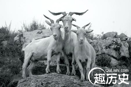 古代传统流传的三阳开泰吉祥图案有什么寓意？