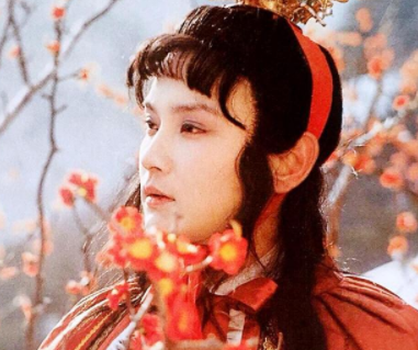 贾宝玉为什么成年了还穿肚兜？只有袭人知道原因！