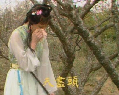 黛玉葬花到底葬的是谁?