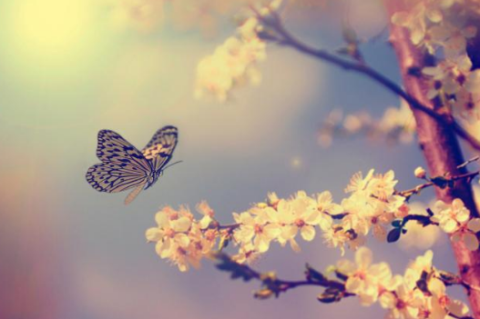 欧阳修实力护女友！宋词名篇众人叫绝佳人脸红！