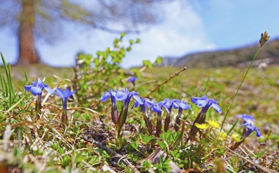 苏轼最心疼的词人是谁？写的词意境唯美
